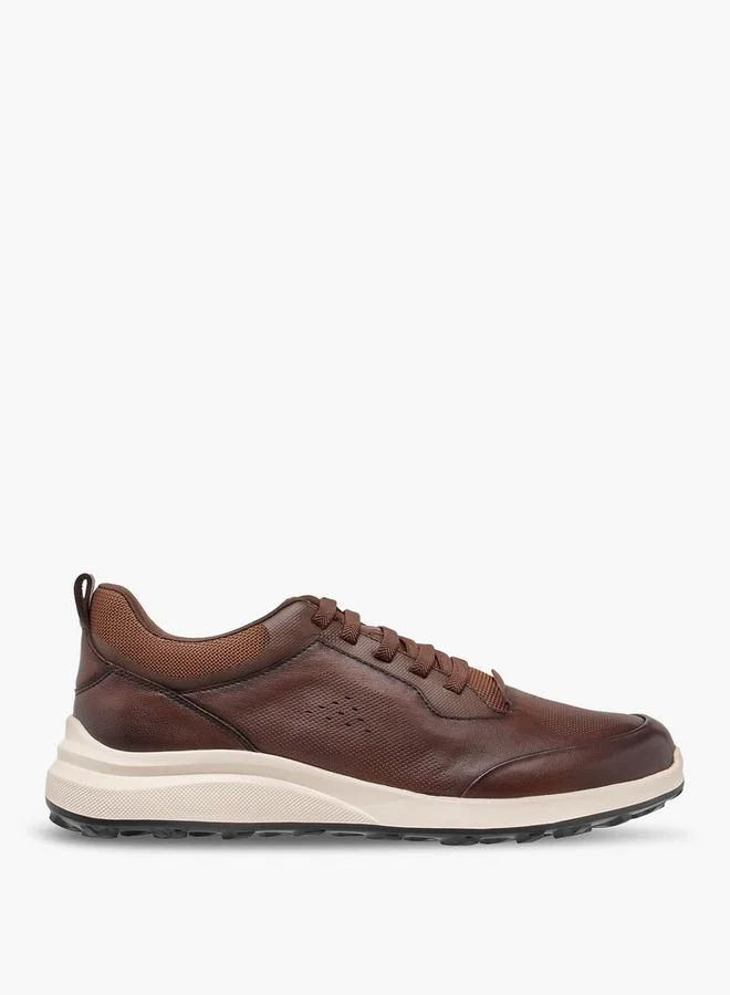 Duchini BROWN Men Perforated Genuine Leather Sneakers for Men | Best Price UAE