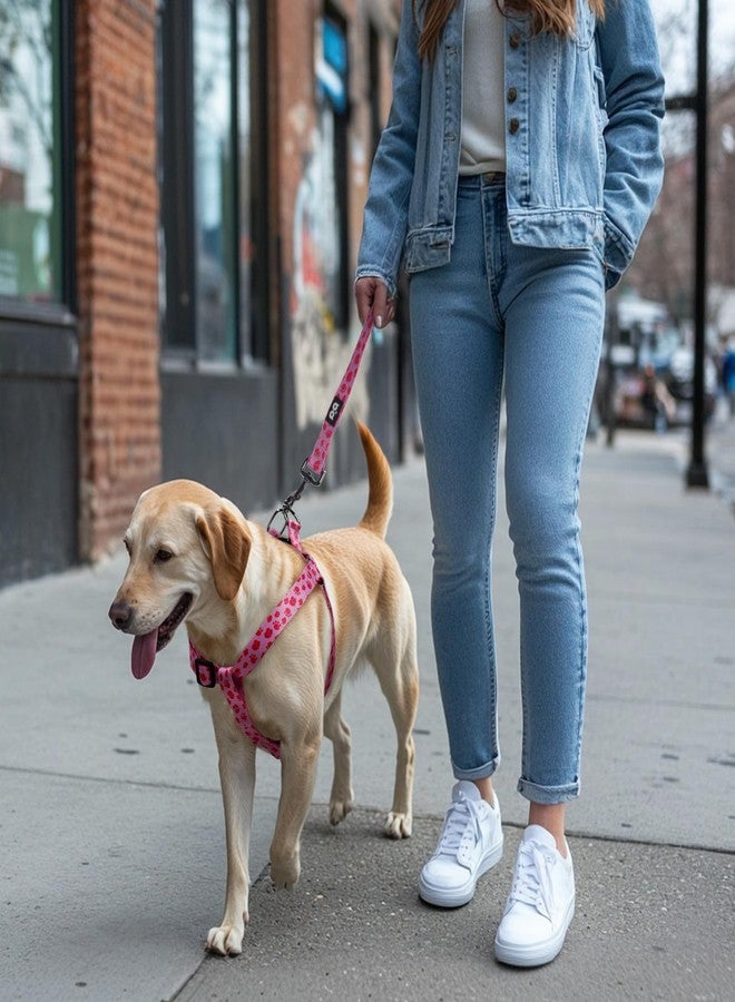 كيوكيو بيتس طقم حزام ومقود للكلاب من QQPETS، قابل للتعديل، شديد التحمل، يمنع الشد، مناسب للكلاب الصغيرة والمتوسطة والكبيرة، مزود بمشبك خلفي مضاد للالتواء، مثالي للمشي - Image 5
