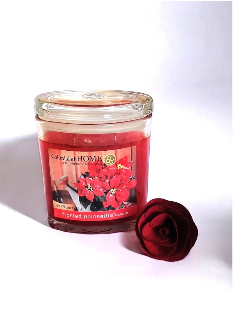 Colonial Candle Frosted Poinsettia Scented Jar Candle with Lid 226 g  - Image 1
