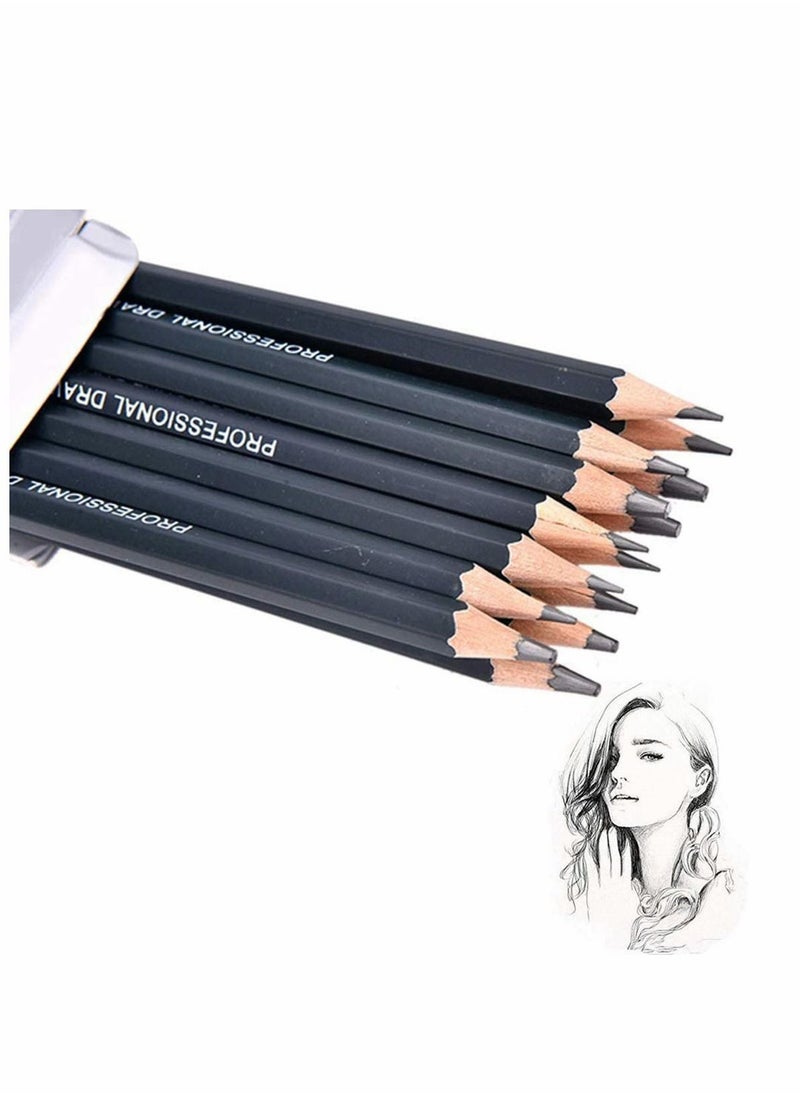 Y&D - Pencils Artist Sketching Set Drawing Set, 14pcs 12B 10B 8B 7B 6B 5B 4B 3B 2B B HB 2H 4H 6H Graphite for Adults Artists Student Beginners Professional - Image 1