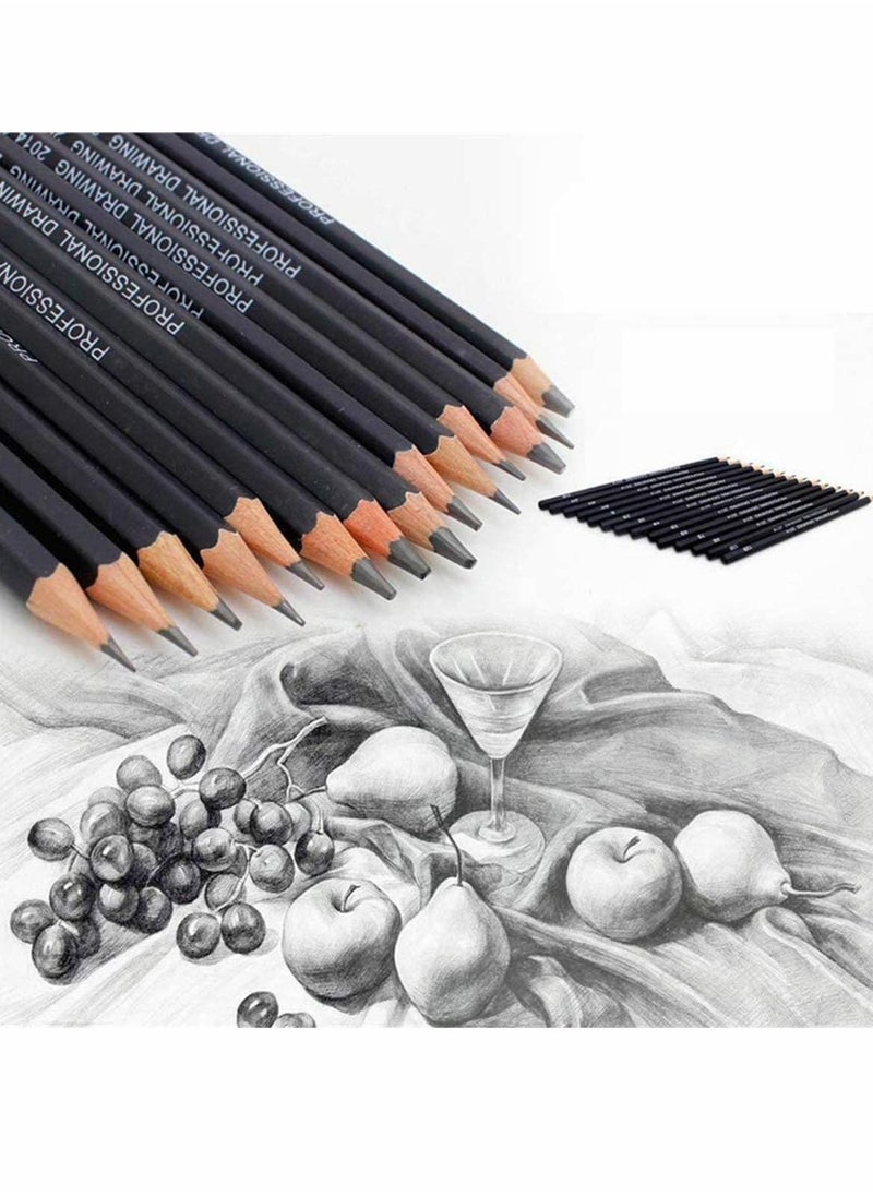 Y&D - Pencils Artist Sketching Set Drawing Set, 14pcs 12B 10B 8B 7B 6B 5B 4B 3B 2B B HB 2H 4H 6H Graphite for Adults Artists Student Beginners Professional - Image 1