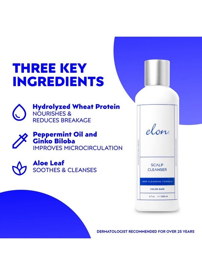 إيلون منظف فروة الرأس من إيلون للشعر الخفيف - علاج منشط ومقشر لفروة الرأس لنمو الشعر - للنساء والرجال - آمن على اللون وخالٍ من البارابين (6.7 أونصة) - Image 2