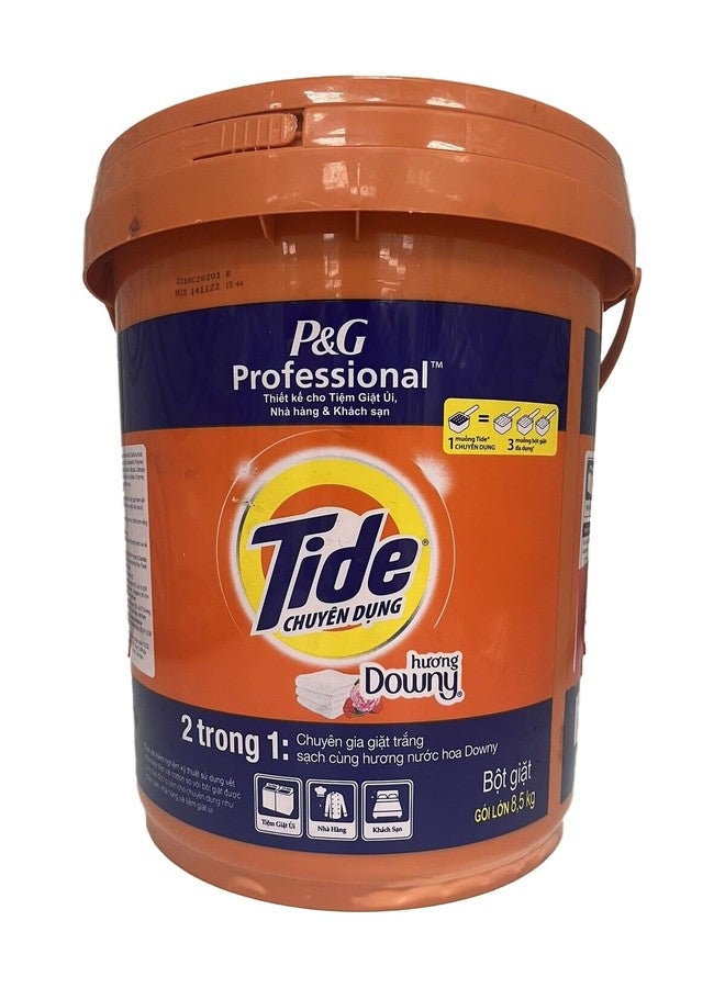 TIDE, Bucket, 317 Ounce - Image 1