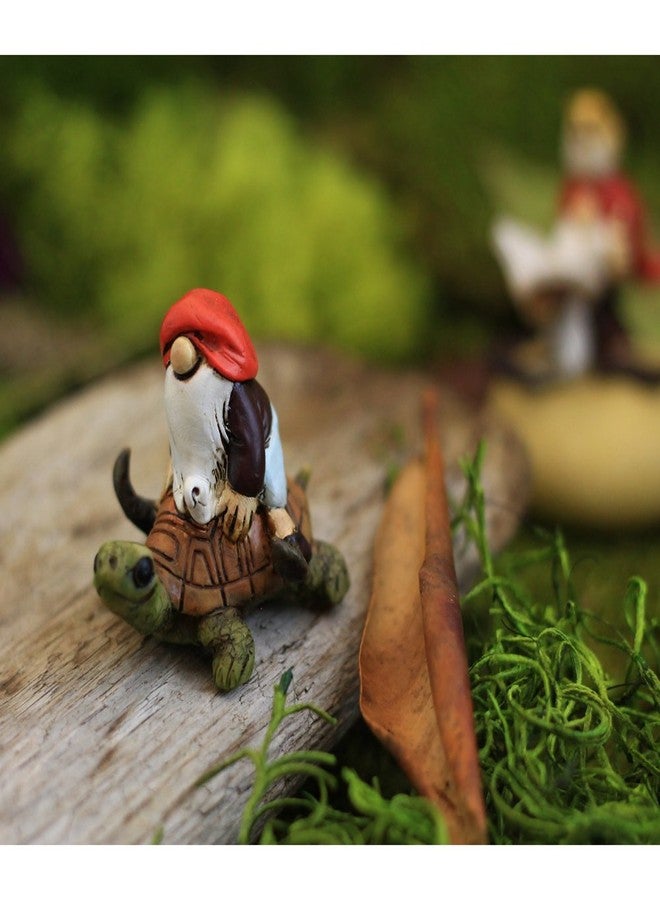 Top Collection Miniature Fairy Garden and Terrarium Gnome Riding on Turtle Statue - Image 2