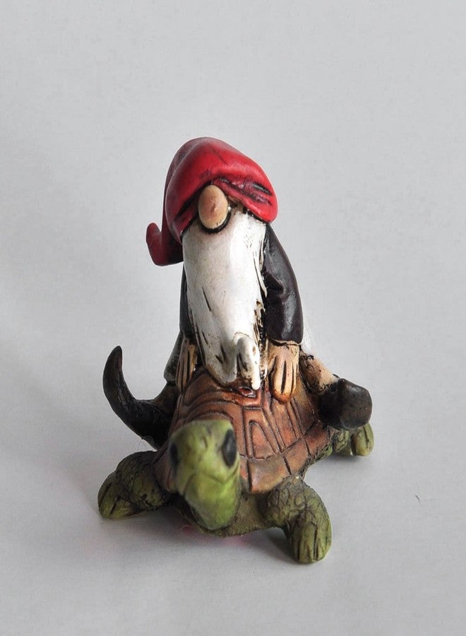 Top Collection Miniature Fairy Garden and Terrarium Gnome Riding on Turtle Statue - Image 1