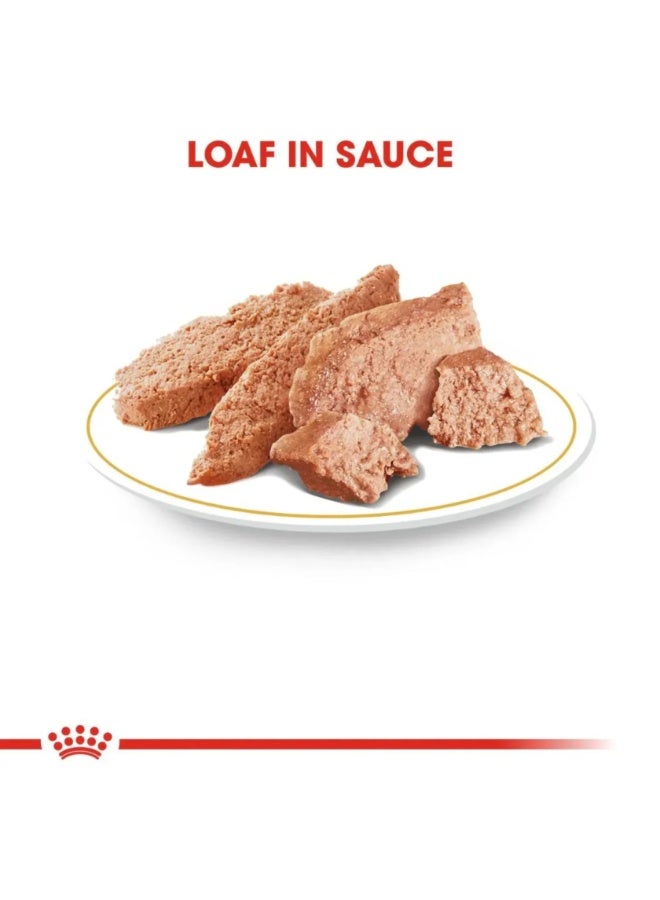 Royal Canin Breed Health Nutrition Yorkshire Adult Dog Wet Food - 12X85G - Image 3