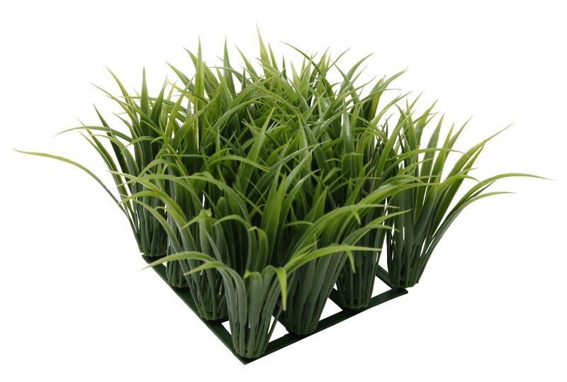 هاغن شجر شمشاد وعشب طويل لتزيين أحواض السمك - Image 1