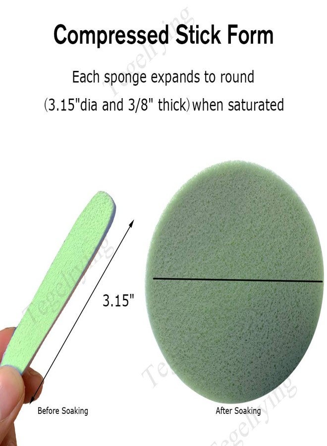 Tegelrying Facial Sponge Compressed,60 Pcs PVA Professional Makeup Removal Wash Round Face Sponges Spa Pads Exfoliating Cleansing for Women,Green - Image 2