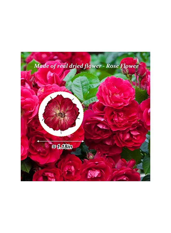 The Bros Dried Pressed Rose Flowers for Resin, 60 Pcs Natural Real Pressed Rose Flowers, Dry Flowers for Resin Crafts DIY Jewellery Ornament Candle Making Phone Case Home Decoration - Image 2