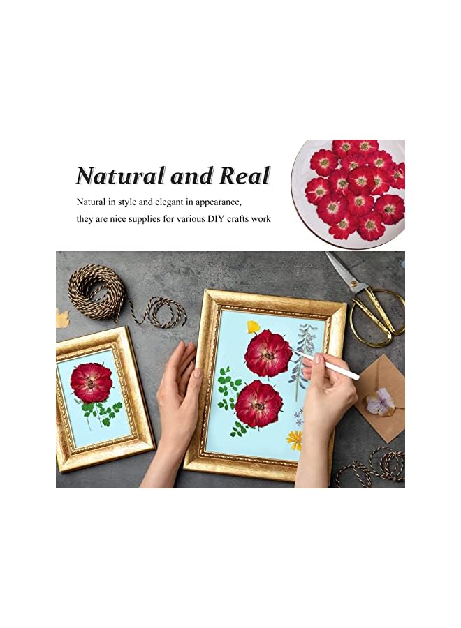 The Bros Dried Pressed Rose Flowers for Resin, 60 Pcs Natural Real Pressed Rose Flowers, Dry Flowers for Resin Crafts DIY Jewellery Ornament Candle Making Phone Case Home Decoration - Image 3