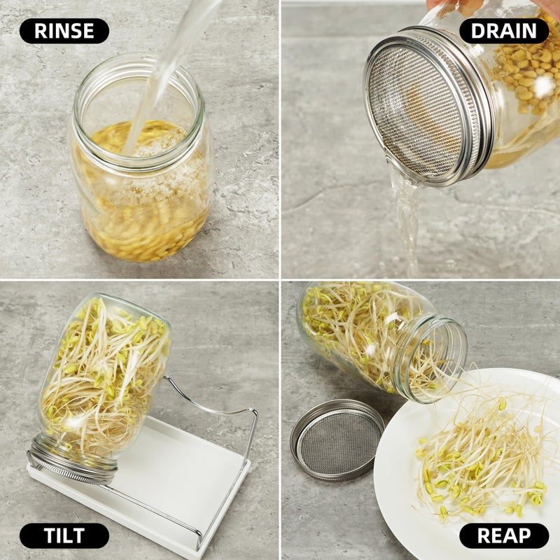 Zeato Sprouting Jar Kit Seed Sprouter Set for Growing Broccoli, Alfalfa, Mung Bea, Premium Stainless Steel Screen Sprout Lids, 2 Wide Mouth Mason Jars, Blackout Sleeves, Tray, Stand and Canning Brush - Image 4