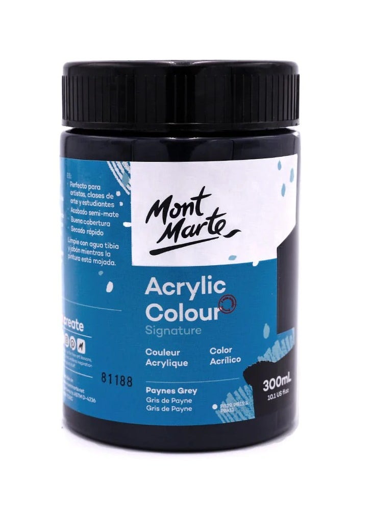 Mont Marte Acrylic Colour Paint 300ml - Paynes Grey - pzsku/ZDC668E412462E61132DFZ/45/_/1707244850/4d301970-203c-4fec-8ada-dede44002259