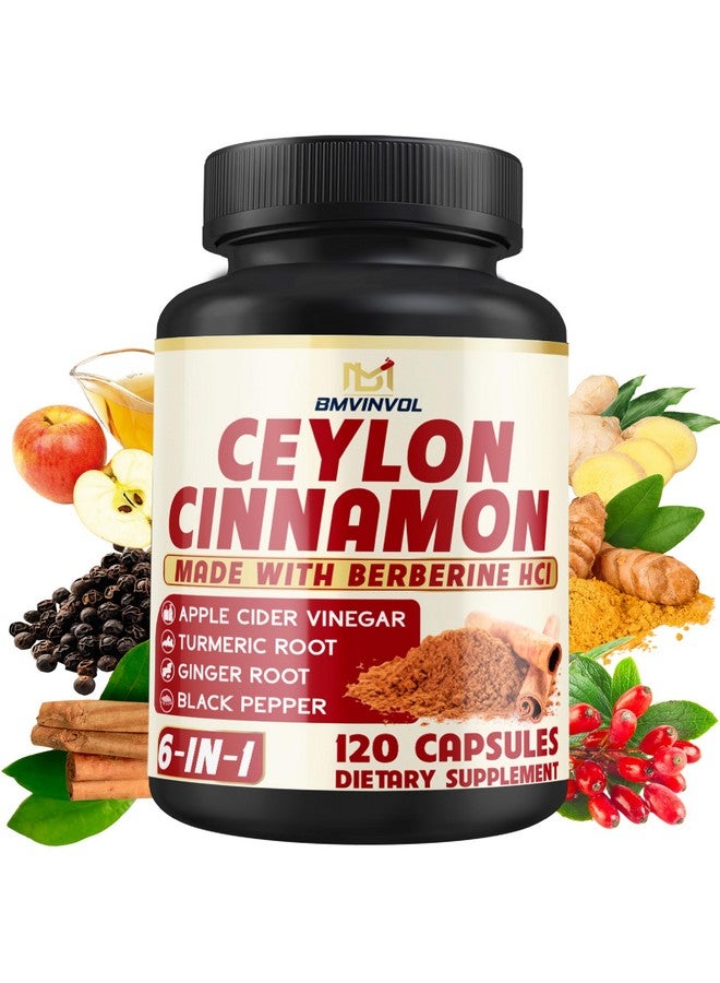 BMVINVOL Ceylon Cinnamon Capsules with Berberine HCl, Apple Cider Vinegar, Turmeric, Ginseng, Black Pepper - 6in1 for Support Immune Function - 120 Count - Image 1