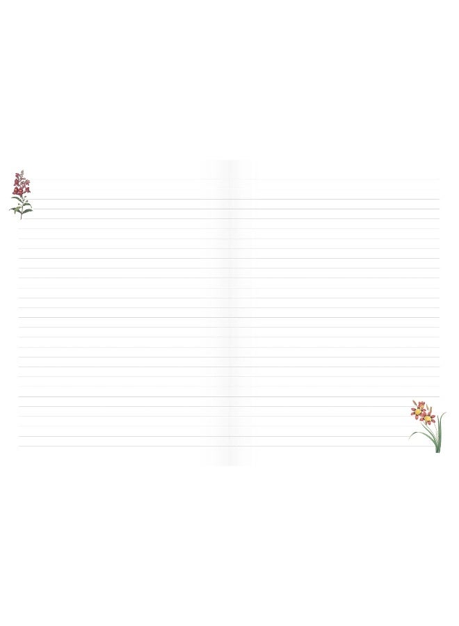 The Nature Notebook  - Image 2