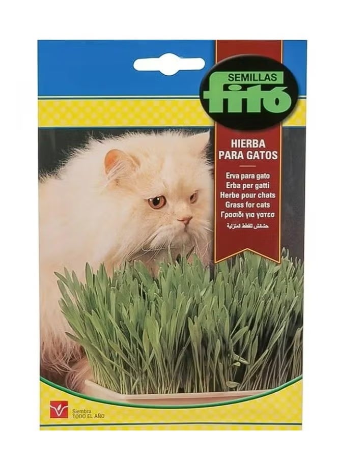 Fito Grass for Cat Premium Quality Seeds (Made in Spain) by Semillas Fitó
