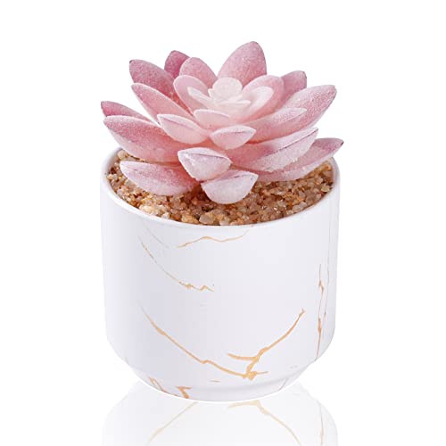 ZENIDA Succulent Artificial Plants,Cute Fake Succulents in 1 White Ceramic Pots,Small Fake Plants for Office,Table,Desk,Bathroom, Bedroom,Aesthetic Room Shelves Decor,Desk Decorations for Women Office - Image 1