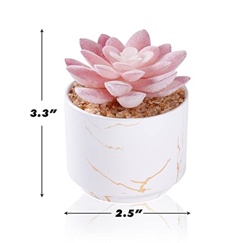 ZENIDA Succulent Artificial Plants,Cute Fake Succulents in 1 White Ceramic Pots,Small Fake Plants for Office,Table,Desk,Bathroom, Bedroom,Aesthetic Room Shelves Decor,Desk Decorations for Women Office - Image 5