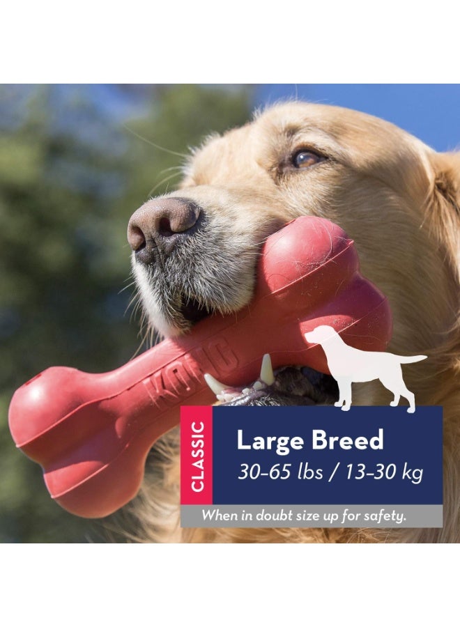 KONG Goodie Bone - Classic Durable Natural Rubber Dog Bone, Supports Mental Engagement - Treat Dispensing - Red - for Large Dogs - Image 5