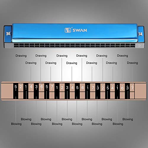 EastyGold Harmonica Mouthorgan Harp Armonica 24 Hole Polyphony Diatonic Mouth Organ Key of C with Case for Blues Folk Jazz Pop Music Instrument Gift - Image 5