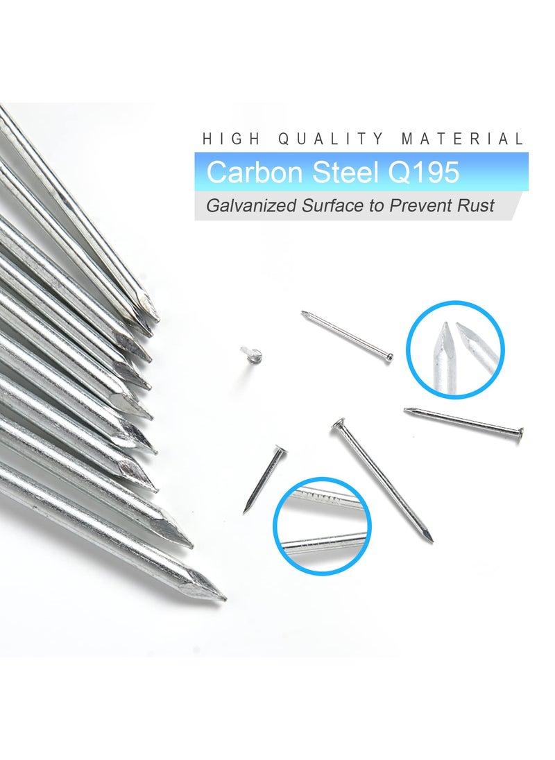JEGONFRI 376pcs Hardware Nails Assortment kit with 2" Nails & 8oz Claw Hammer, Nails for Hanging Pictures, Picture Hanging Nails, Finishing nails, Wall nails, Small nails, Wood nails and Hammer  - Image 4