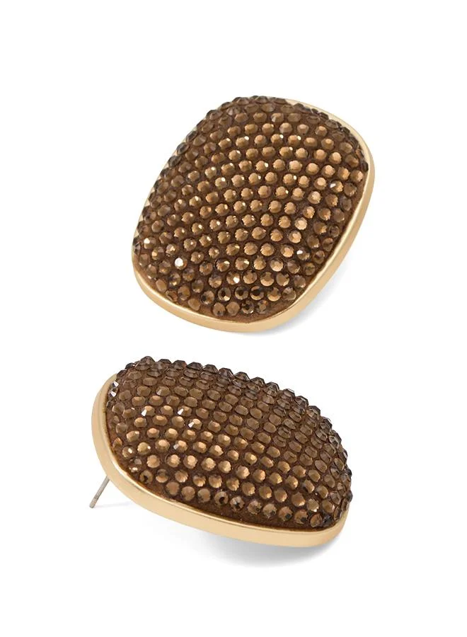 Velvetti Ladies Brown Earrings