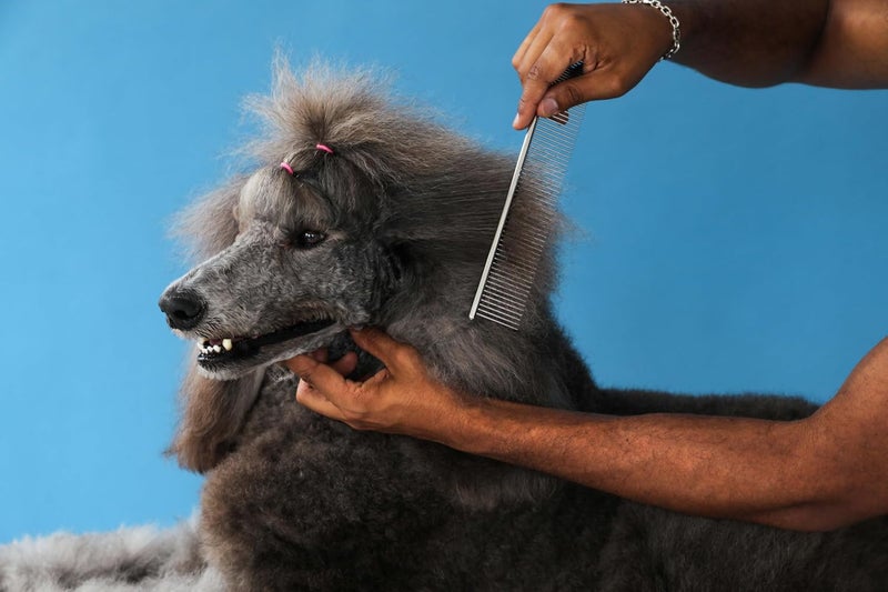 مشط أنديس 68550 الفولاذي المقاوم للصدأ للعقد والتشابكات وإزالة الشعر المتساقط - أداة فعالة لإزالة التشابك، مريح، خفيف الوزن، محمول وآمن للكلاب والقطط والحيوانات الأليفة – فضي، 7-1/2 بوصة - Image 3