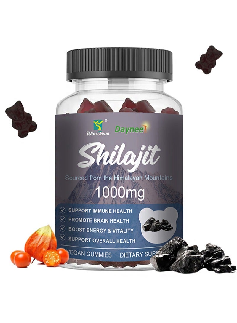 وينز تاون 60 عدداً من حلوى الشيلاجيت 1000 ملغ، حلوى الشيلاجيت العضوية مع أكثر من 85 معدن نادر، حمض الفولفيك، راتنج الشيلاجيت للرجال والنساء، لدعم الطاقة، العقل، والمناعة. - Image 1
