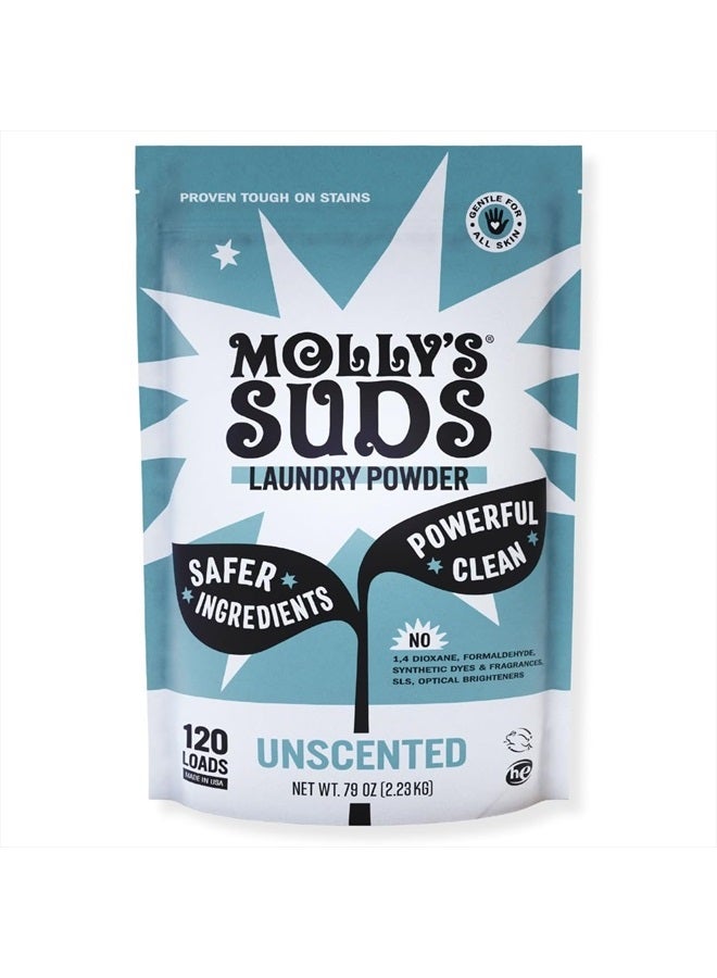 MOLLY'S SUDS Original Laundry Detergent Powder | Natural Laundry Detergent Powder for Sensitive Skin | Earth-Derived Ingredients, Stain Fighting | 120 Loads (Unscented)  - Image 1