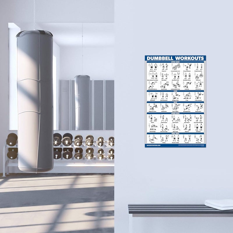 Palace Learning QuickFit 2 Pack Dumbbell Workout Exercise Poster - Volume 1 & 2 - LAMINATED 18" x 24" - Image 4