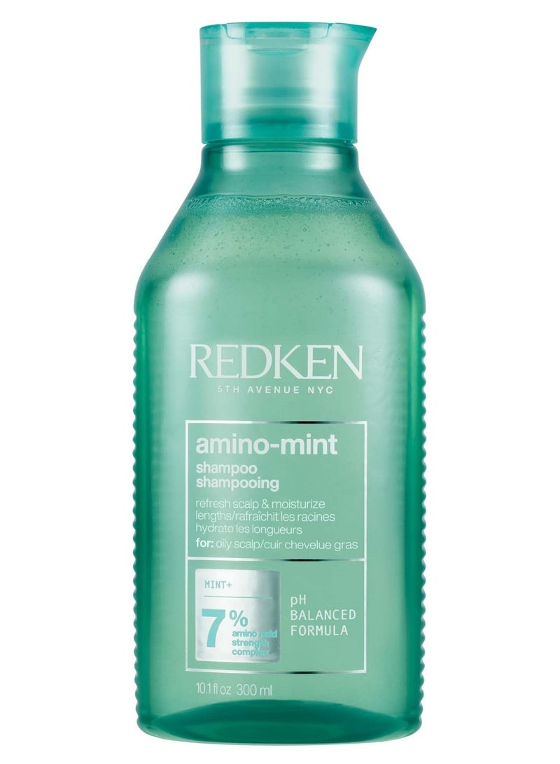 Redken Amino Mint Shampoo Oily Scalp 300ml - Image 1