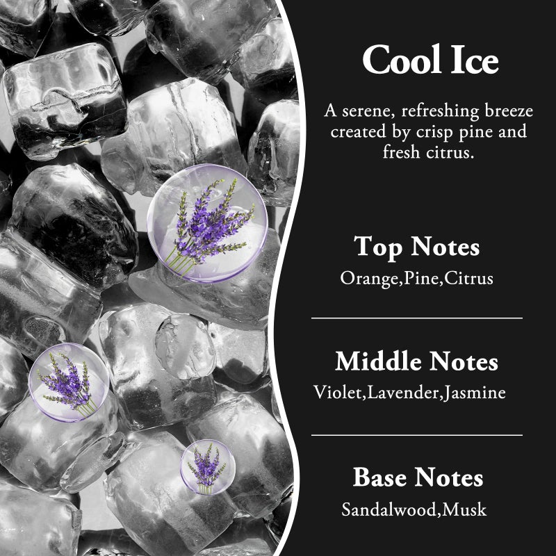 RoyAroma Hanging Car Air Fresheners, 2 Pack Long Lasting Automotive air fresheners up to 30-45 Days, Non Toxic Natural Fragrance Car Diffuser Freshener for Cars, Home,Office- Cool Ice - Image 2