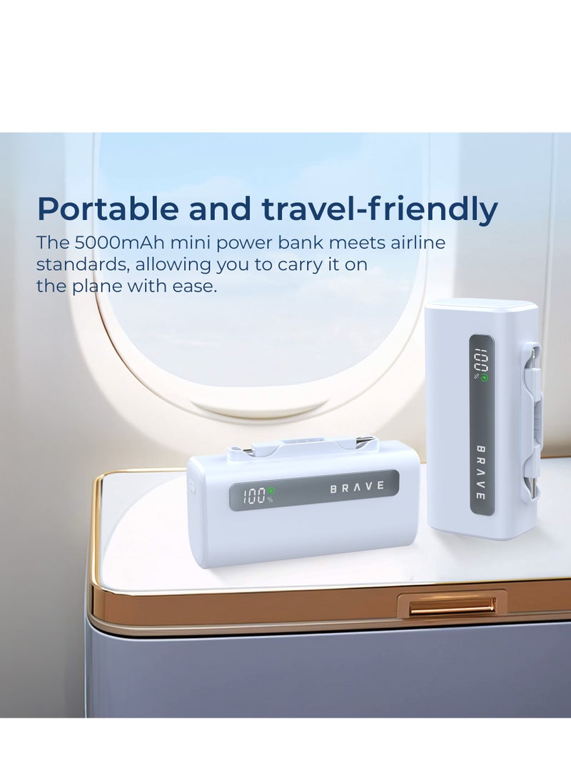 Power Bank Charging Station Kit, Multi-Device Charging Station, 4 x 5000mAh Portable Chargers with 22.5W PD Type-C Port and 20W PD Lightning Port, LED Power Display, Fast Charging for External Batteries, Compatible with iPhone 16/15/14/13/12, Samsung S25/S24/S23/S22, iPad Pro, AirPods Pro and More - USB-C Power Bank Charging Station (White/Blue)