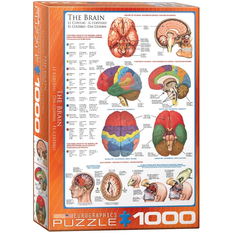 EuroGraphics Human Body (The Brain) 1000 Piece Puzzle - Image 4