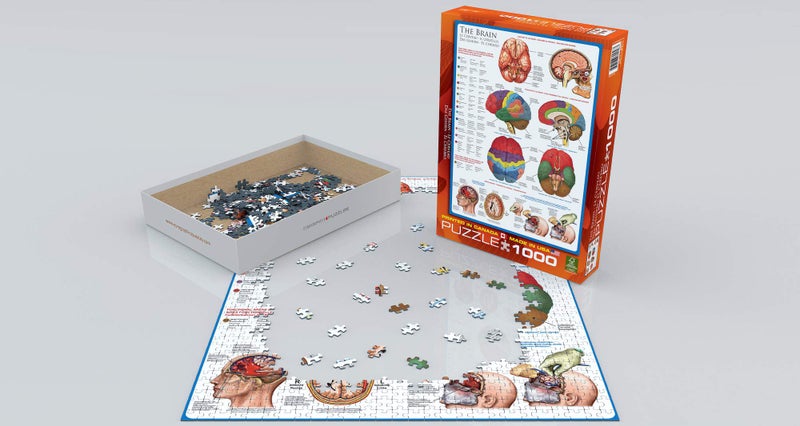 EuroGraphics Human Body (The Brain) 1000 Piece Puzzle - Image 3