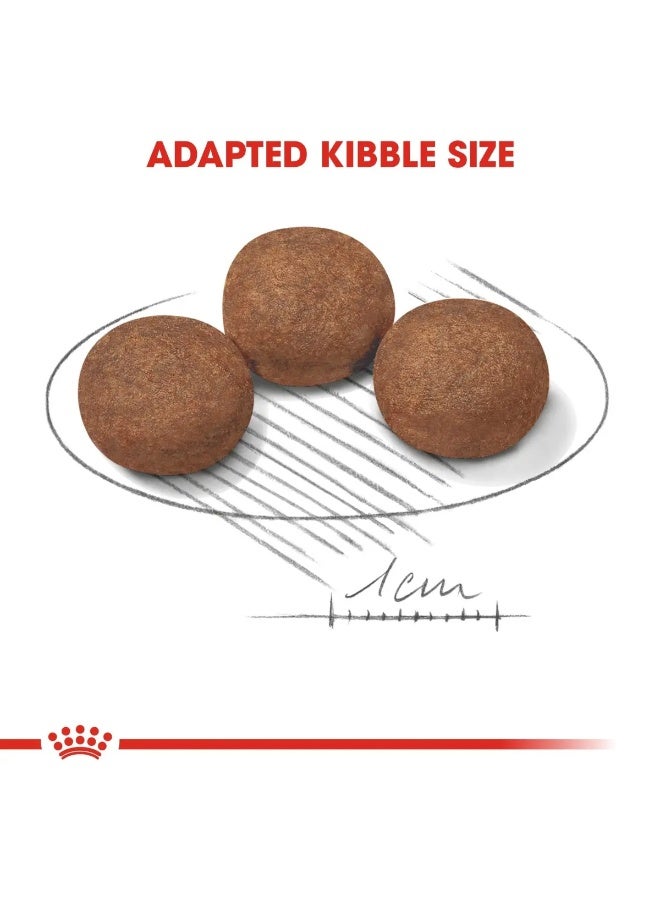 ROYAL CANIN طعام جاف رويال كانين للكلاب الأم والجراء متوسط الحجم 10 كجم - صحة الجراء والأمهات - Image 5