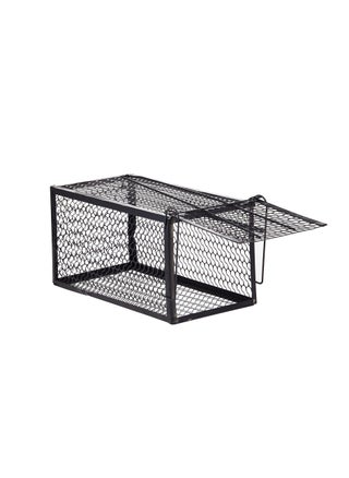Rat and Mouse Trap 540 - pzsku/ZDC763373EE16398B5957Z/45/_/1732013771/34b5649a-74ae-4bee-9b2d-717e0c6d7ca6