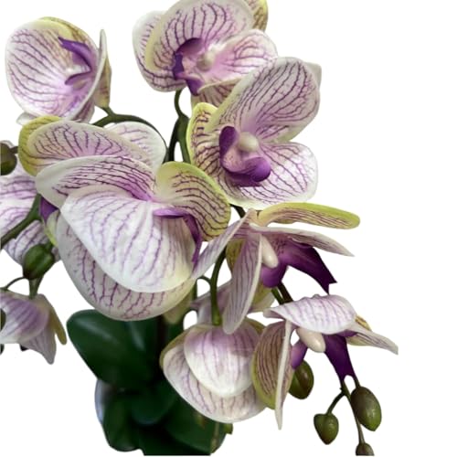 Fox & Fern Artificial Orchid Flowers in Ceramic Pot with 2 Stems, 4 Flower Sticks(GAOR23-0112LPR)| Orchid Bonsai Faux Phalaenopsis Plant (Ht. 53CM) (Light Purple) - Image 3