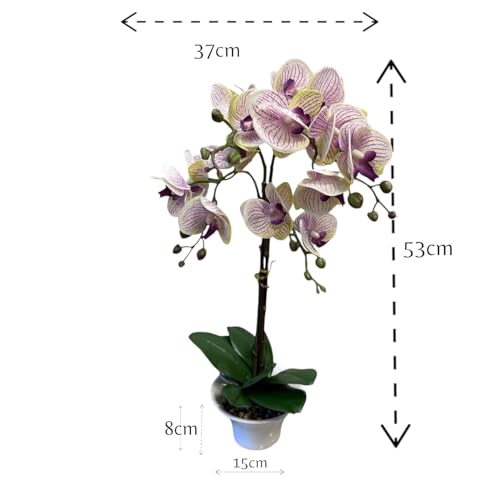 Fox & Fern Artificial Orchid Flowers in Ceramic Pot with 2 Stems, 4 Flower Sticks(GAOR23-0112LPR)| Orchid Bonsai Faux Phalaenopsis Plant (Ht. 53CM) (Light Purple) - Image 2
