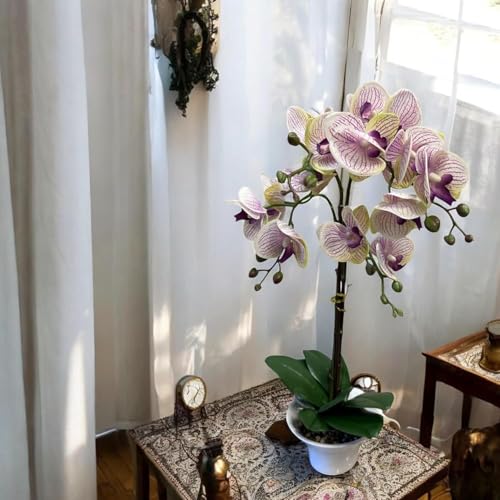 Fox & Fern Artificial Orchid Flowers in Ceramic Pot with 2 Stems, 4 Flower Sticks(GAOR23-0112LPR)| Orchid Bonsai Faux Phalaenopsis Plant (Ht. 53CM) (Light Purple) - Image 1