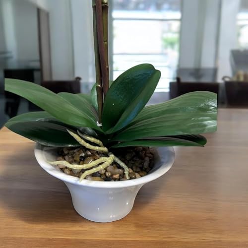 Fox & Fern Artificial Orchid Flowers in Ceramic Pot with 2 Stems, 4 Flower Sticks(GAOR23-0112LPR)| Orchid Bonsai Faux Phalaenopsis Plant (Ht. 53CM) (Light Purple) - Image 5
