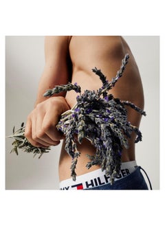 TOMMY HILFIGER عطر تومي 100 مل  - Image 5