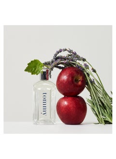 TOMMY HILFIGER عطر تومي 100 مل  - Image 2