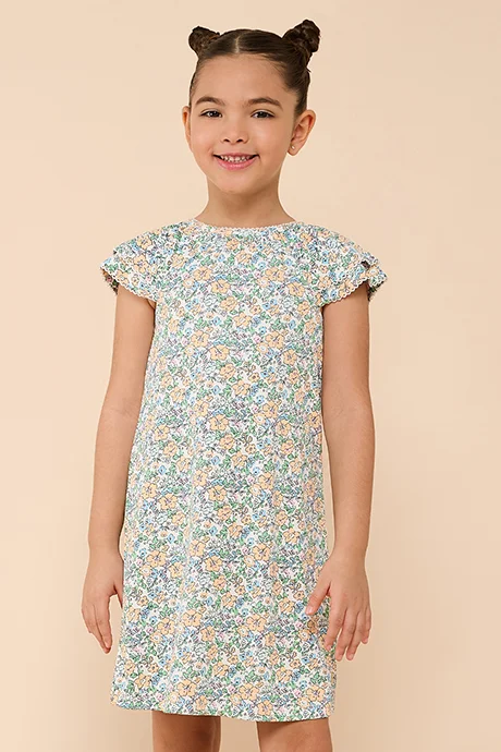 R&B Printed Dress with Crew Neck and Short Sleeves