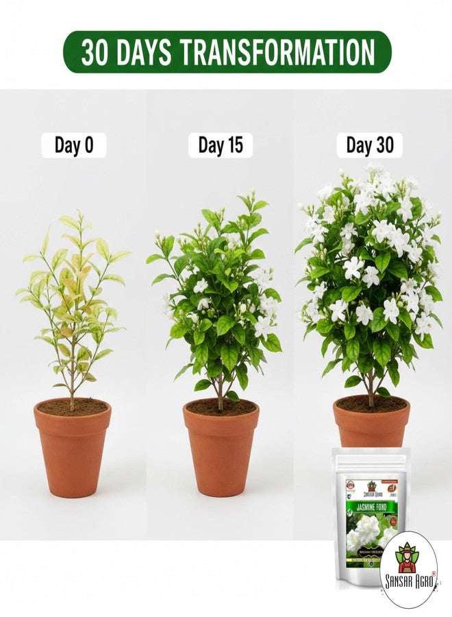 Sansar Agro® Jasmine Food, Essential Organic Fertilizer for Jasmine Plants, Double Filtered with All Required Nutrients and Active Micro-organisms for heavy Flowering (400 gm) - Image 4