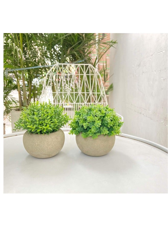 Velener 2Pcs Mini Artificial Boxwood Topiary Faux Plants Indoor- Small Fake Plants Decor Magnolia Home Office Desk Cubicle Farmhouse Kitchen Bookshelf Bedroom Bathroom Decor, Aloe Vera Zen Garden Dark Green