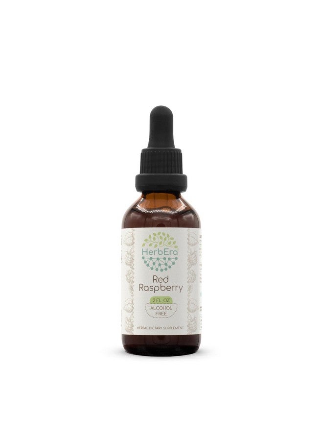 HerbEra Red Raspberry B60 Alcohol-Free Herbal Extract Tincture, Concentrated Liquid Drops Natural Super-Concentrated Red Raspberry (Rubus idaeus) (2 fl oz) - Image 1