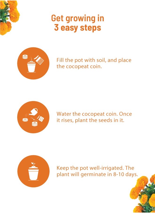 POT & BLOOM Pot and Bloom Gardening Kit - Marigold Kit. Perfect for Home Garden, Includes - Seeds, Garden Pot, Potting Mix, Nutrition & Protection Spray. Gardening Tools Kit For Home Garden, Home Garden Set,  - Image 3