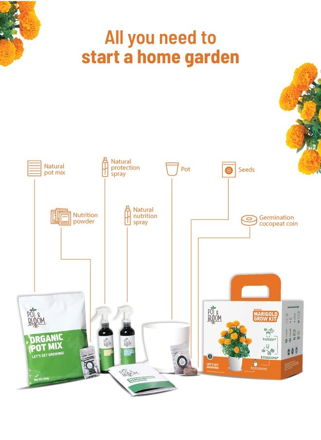 POT & BLOOM Pot and Bloom Gardening Kit - Marigold Kit. Perfect for Home Garden, Includes - Seeds, Garden Pot, Potting Mix, Nutrition & Protection Spray. Gardening Tools Kit For Home Garden, Home Garden Set,  - Image 2