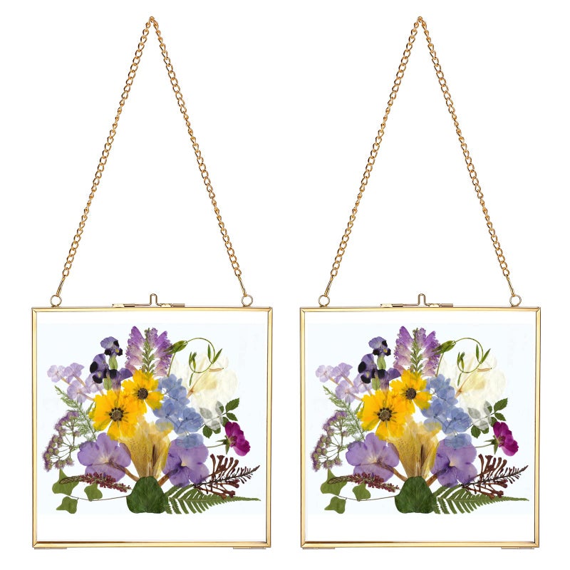 JUXYES 2 Pack Wall Hanging Brass Frame for Pressed Flowers Glass Floating Frames for Display Dried Flowers Artwork Double Glass Floating Style Square Gallery Wall Frame for Plants Photo Picture Poster etc