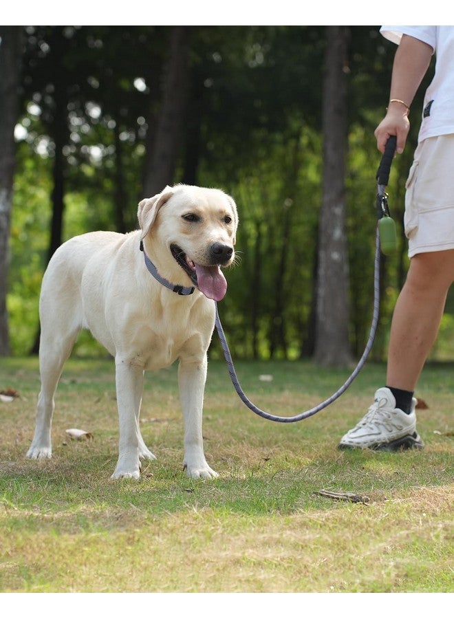 Joytale Joytale Reflective Dog Leash, Heavy Duty Nylon Rope with Poop Bag Holder, Highly Reflective Threads Leashes for Medium Large Dogs, 6'×1/2''  - Image 2